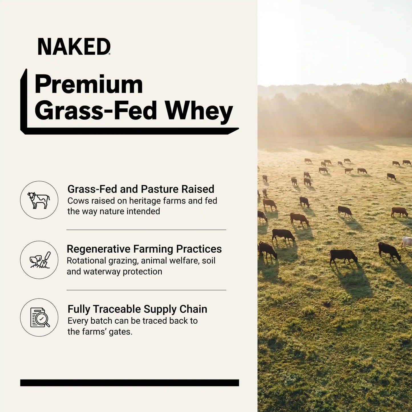 Chocolate Peanut Butter Whey Protein Powder | Naked Whey - 5LB
