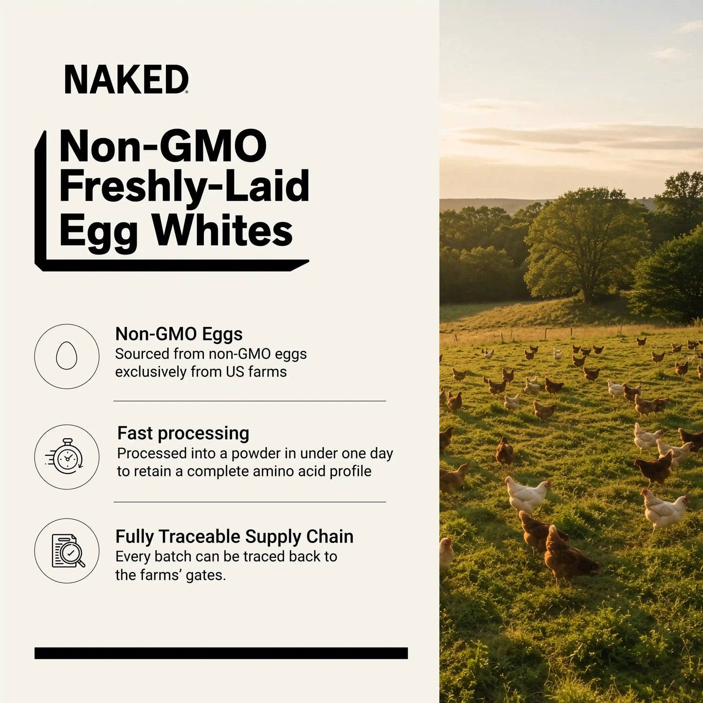 Egg White Protein Powder | Naked Egg - 3LB