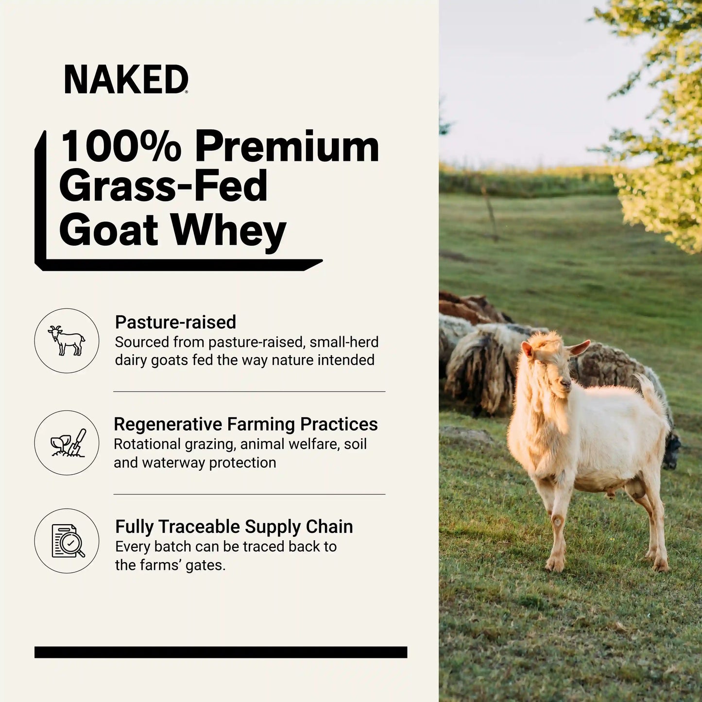 Goat Whey Protein Powder | Naked Goat - 2lb