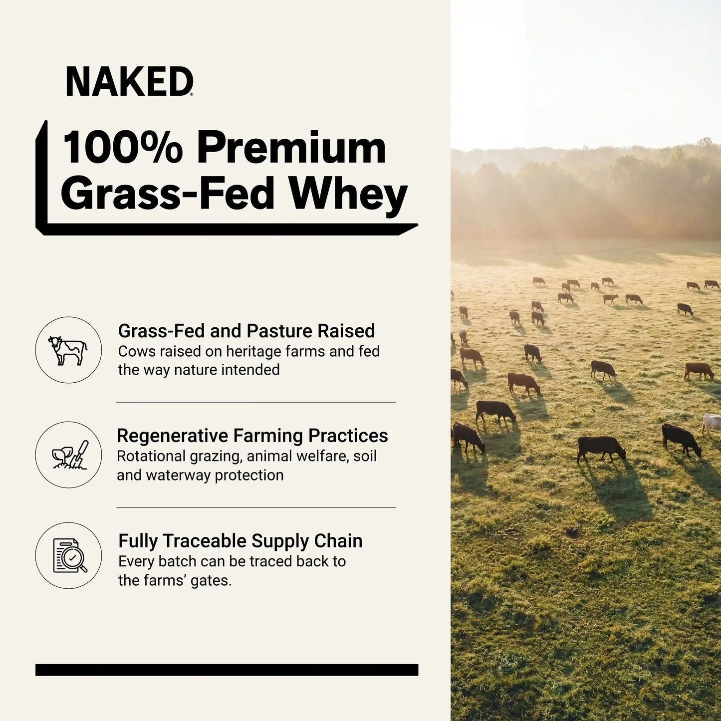 Grass Fed Whey Protein Powder | Naked Whey - 1LB